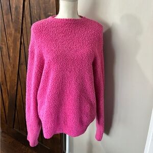 Skims Hot Pink Teddy Bear Sweatshirt Size M - Fits Everybody Crew Neck Pullover